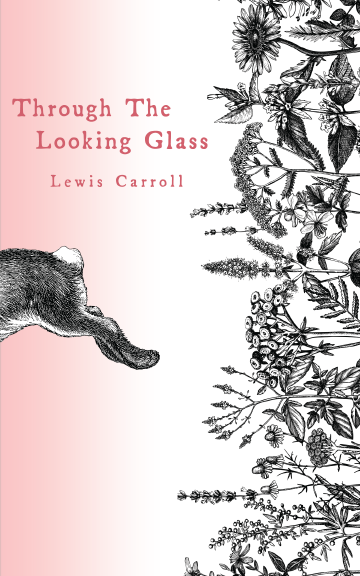 Through the Looking Glass