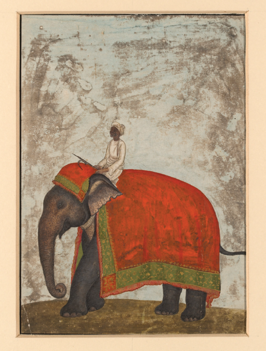 An Elephant with a Red Saddle-Cloth and a Mahout